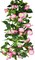 2 Pcs Artificial Morning Glory Vines – 15 ft Silk Hanging Pink & Green Vines for Home, Wall, Fence, Stairway, Wedding & Outdoor Décor